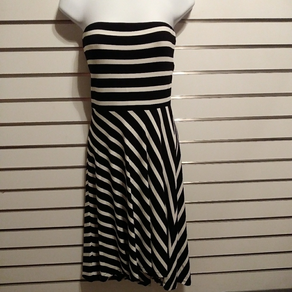 NWT Loft Dress